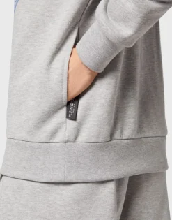 Hoodie Sweatshirt Tiger